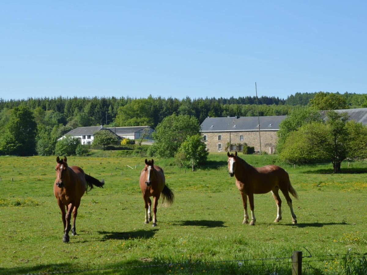 Leuk Huis Met Zwembad Cetturu Rum bild